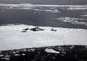 06_Weddell Sea